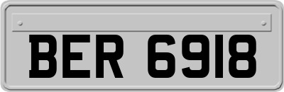 BER6918