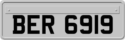 BER6919