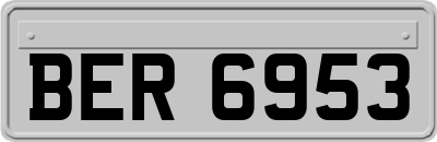 BER6953