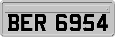 BER6954