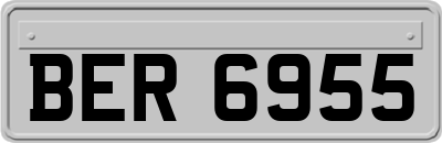 BER6955