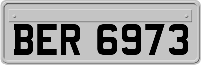 BER6973