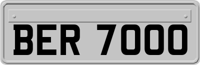 BER7000