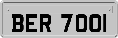 BER7001