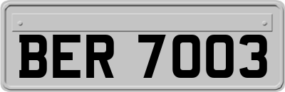 BER7003