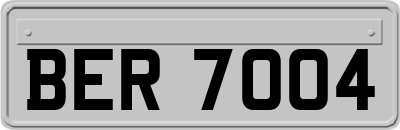 BER7004