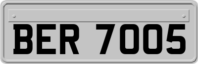 BER7005