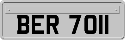 BER7011