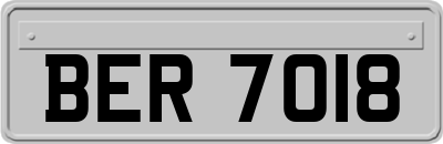 BER7018