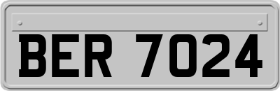 BER7024