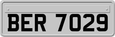 BER7029