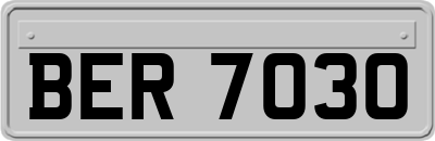 BER7030