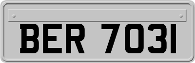 BER7031