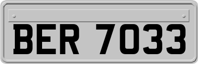 BER7033