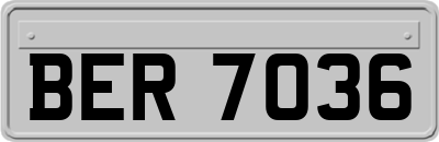 BER7036