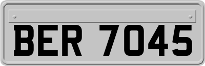 BER7045