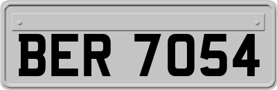 BER7054