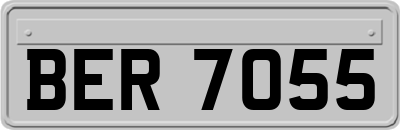 BER7055