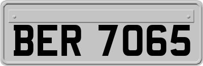 BER7065