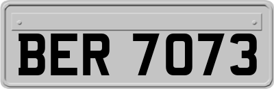 BER7073