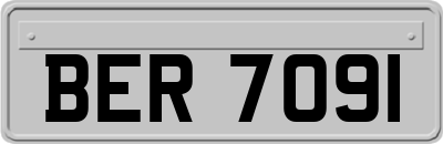 BER7091