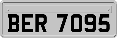 BER7095