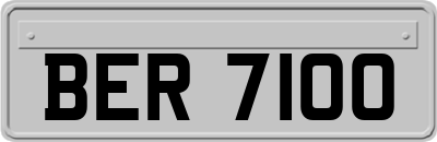 BER7100