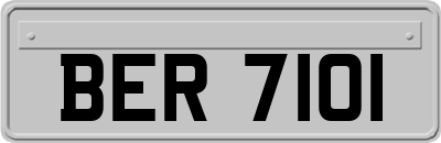 BER7101