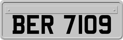 BER7109