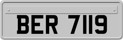 BER7119