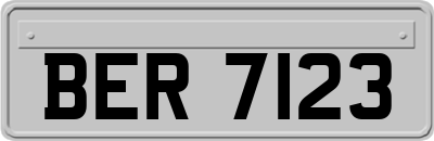 BER7123