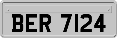 BER7124