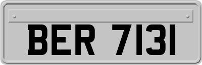 BER7131