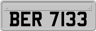 BER7133