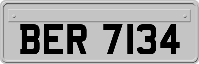 BER7134