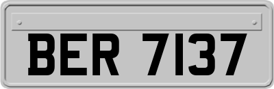 BER7137