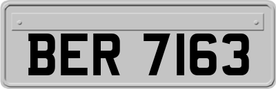 BER7163