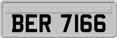 BER7166