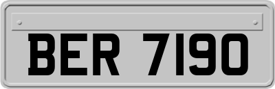 BER7190