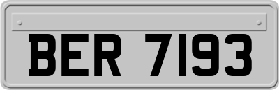 BER7193