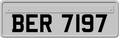 BER7197