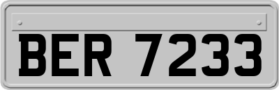 BER7233