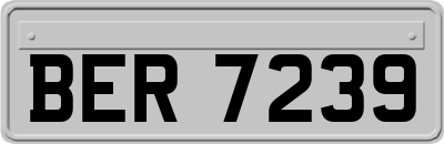 BER7239
