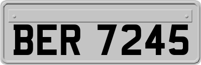 BER7245