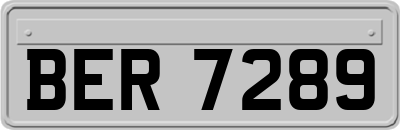 BER7289