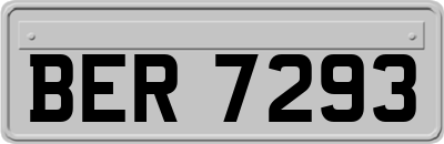 BER7293