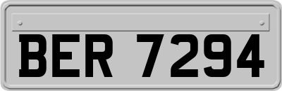 BER7294
