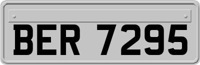 BER7295