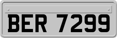 BER7299