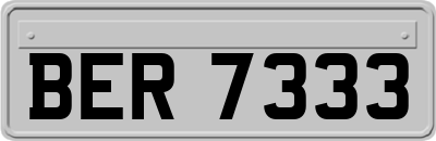 BER7333